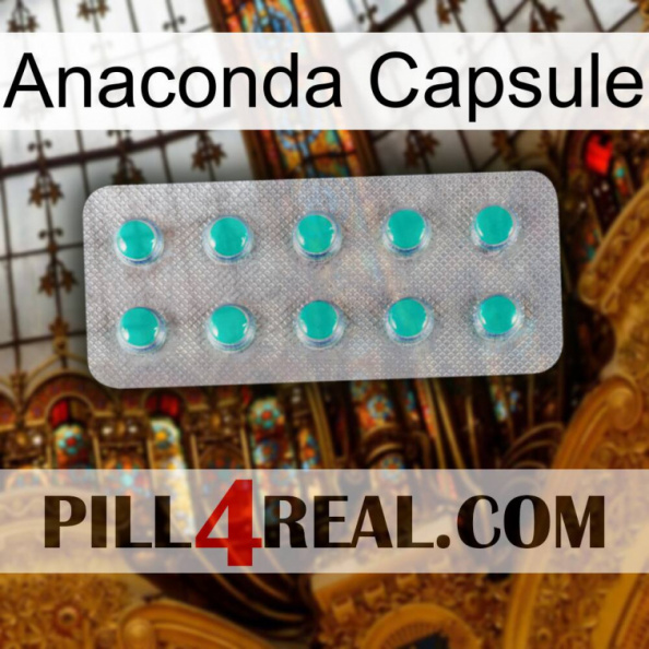 Anaconda Capsule 28.jpg